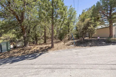 Plumas Court