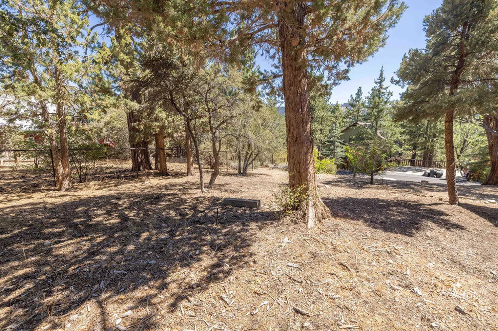 Plumas Court Big Bear City, CA 92314
