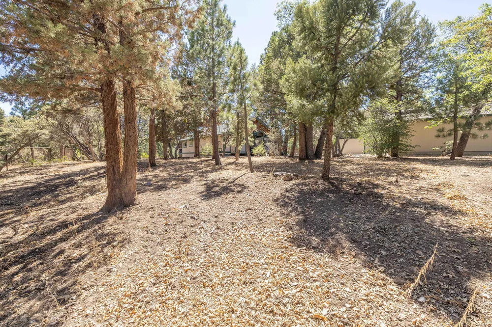 Plumas Court Big Bear City, CA 92314