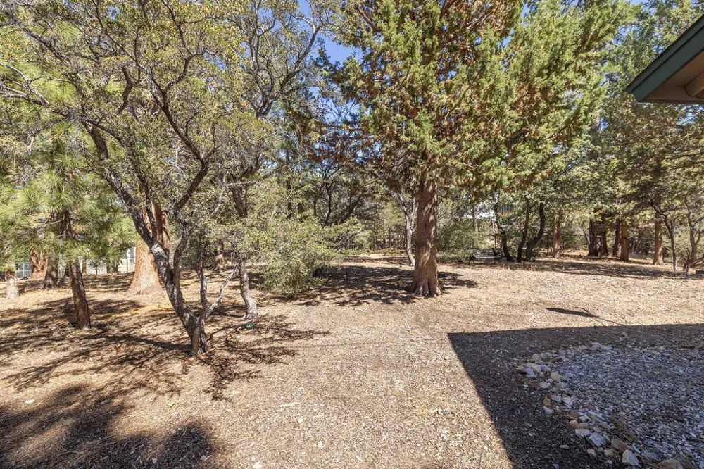 Plumas Court Big Bear City, CA 92314