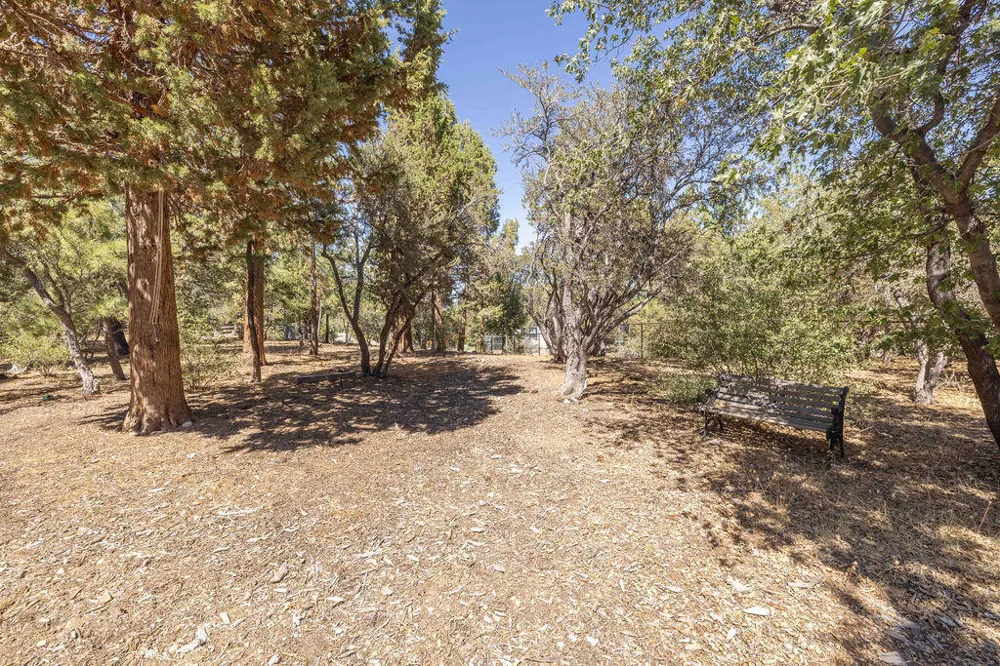 Plumas Court Big Bear City, CA 92314