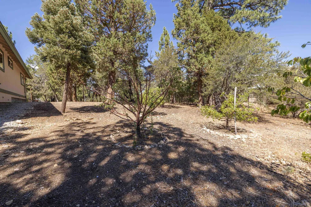 Plumas Court Big Bear City, CA 92314