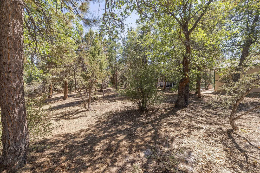 Plumas Court Big Bear City, CA 92314