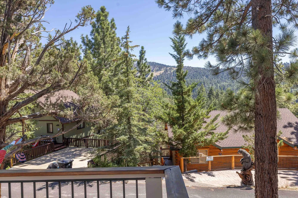 803 Plumas Court Big Bear, CA 92314