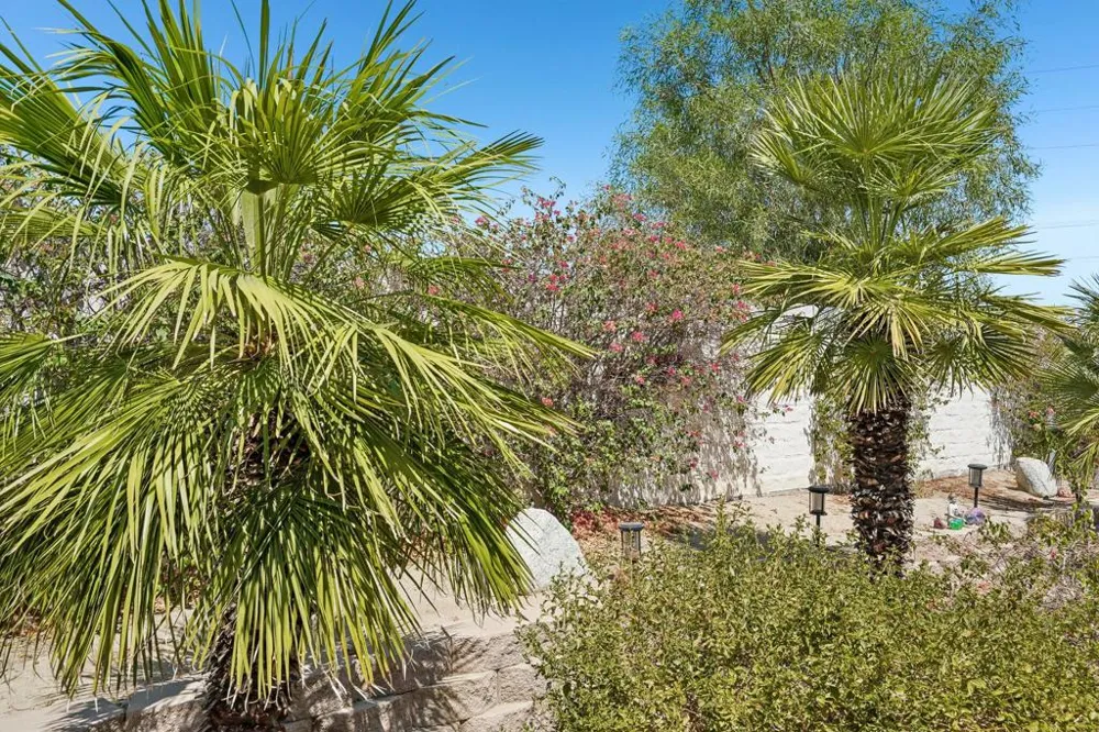 80450 Avenida Linda Vista Indio, CA 92203