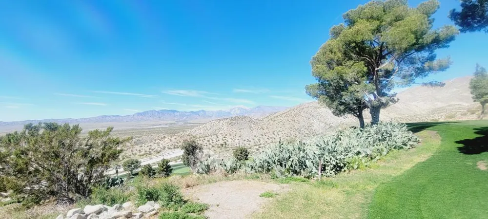 9651 Spyglass Avenue #3 Desert Hot Springs, CA 92240