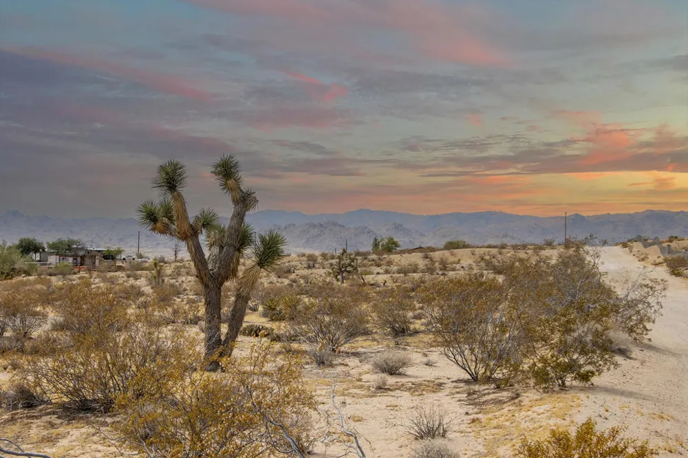 62121 Aberdeen Drive Joshua Tree, CA 92252