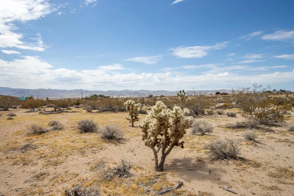 62121 Aberdeen Drive Joshua Tree, CA 92252