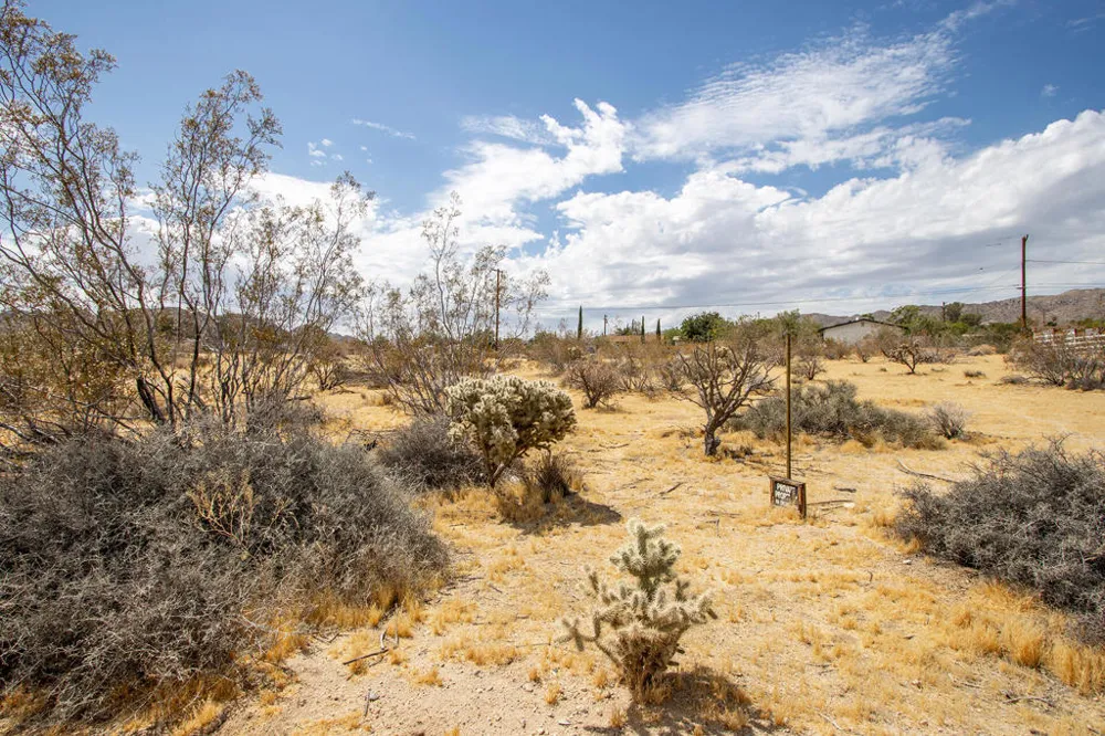 205 Division Street Joshua Tree, CA 92252