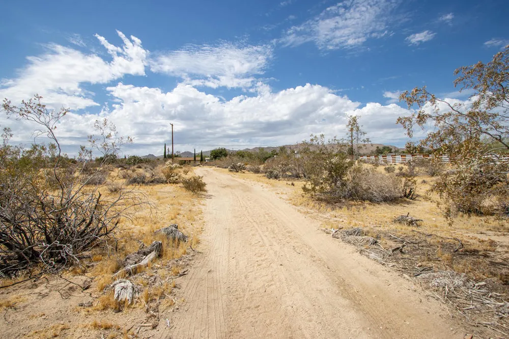205 Division Street Joshua Tree, CA 92252