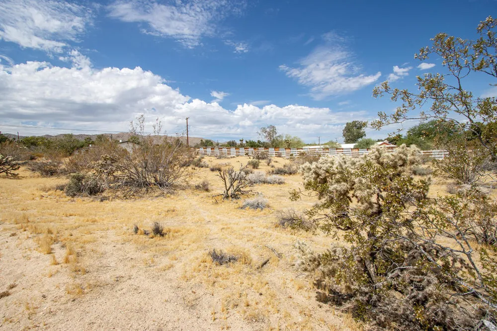 205 Division Street Joshua Tree, CA 92252