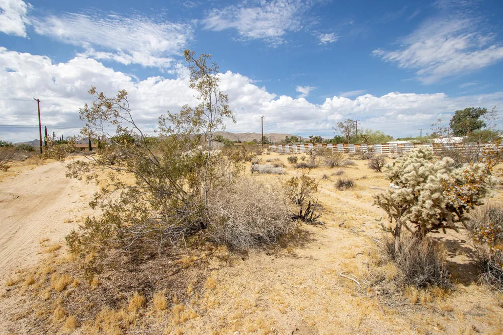 205 Division Street Joshua Tree, CA 92252