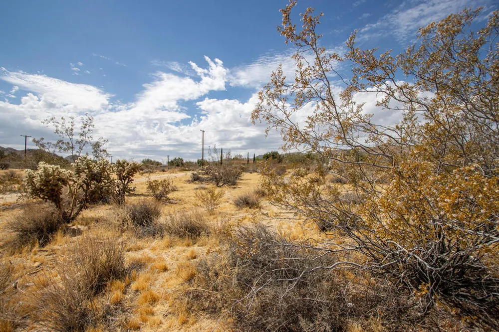 205 Division Street Joshua Tree, CA 92252