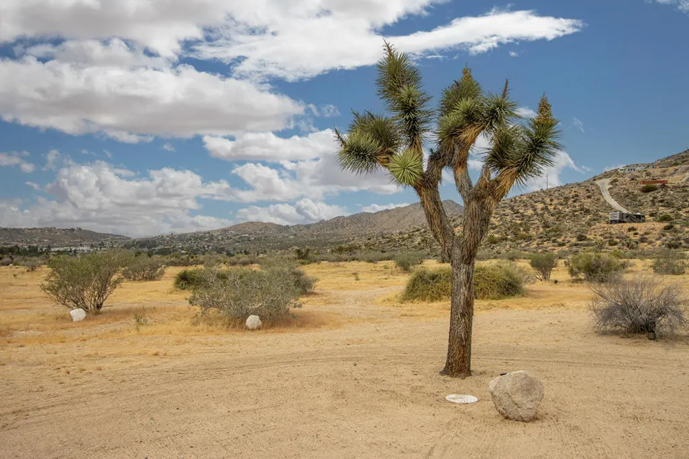 6910 Wamego Trail Yucca Valley, CA 92284