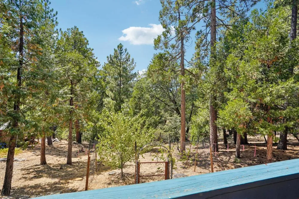 25447 Marion Ridge Idyllwild, CA 92549