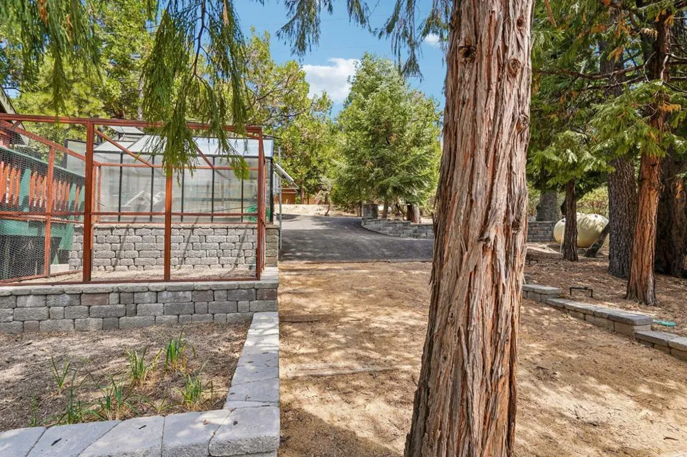 25447 Marion Ridge Idyllwild, CA 92549