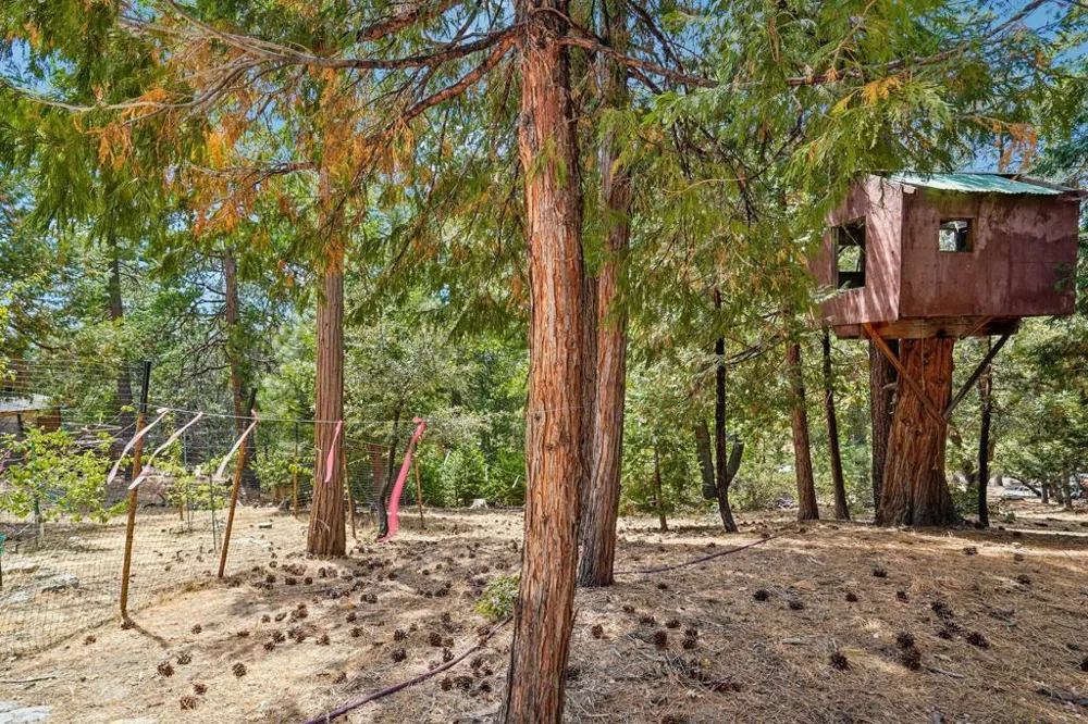 25447 Marion Ridge Idyllwild, CA 92549