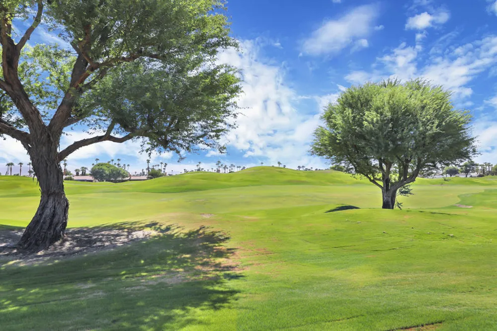 54914 Oaktree La Quinta, CA 92253