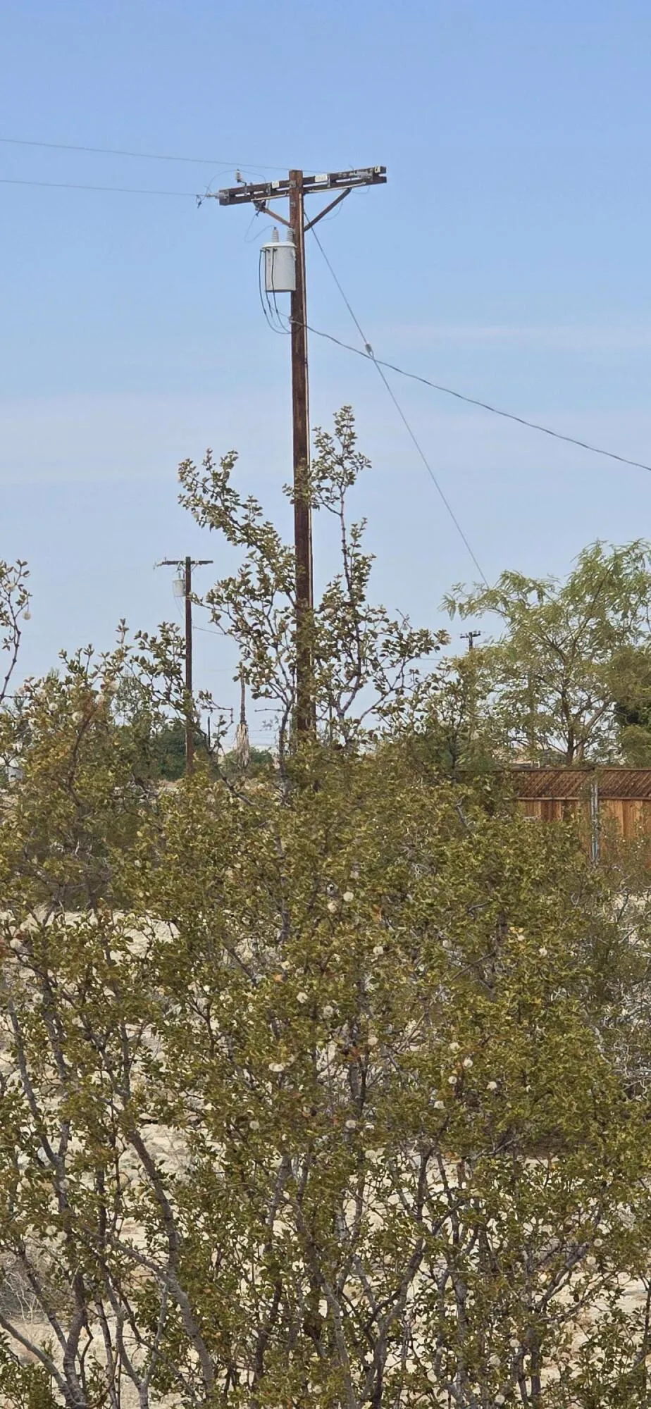 2833 Calhoun Street Thermal, CA 92274