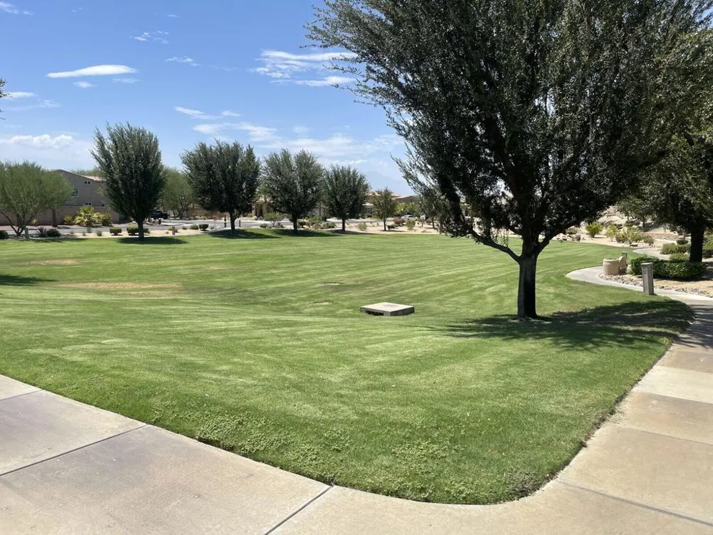 82796 Mount Riley Drive Indio, CA 92203