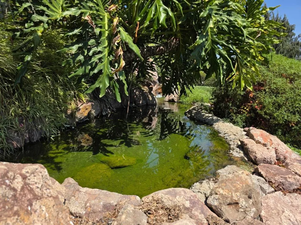 4241 Via El Dorado Fallbrook, CA 92028