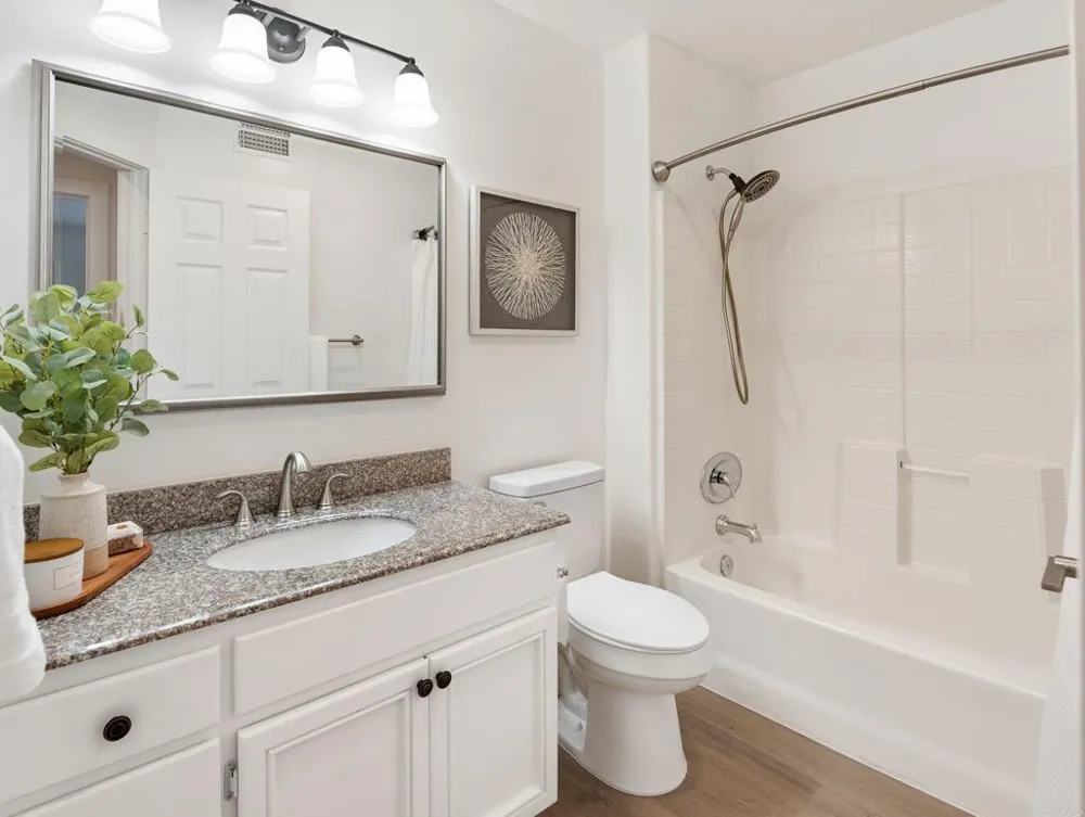 1613 Brome Court Carlsbad, CA 92011
