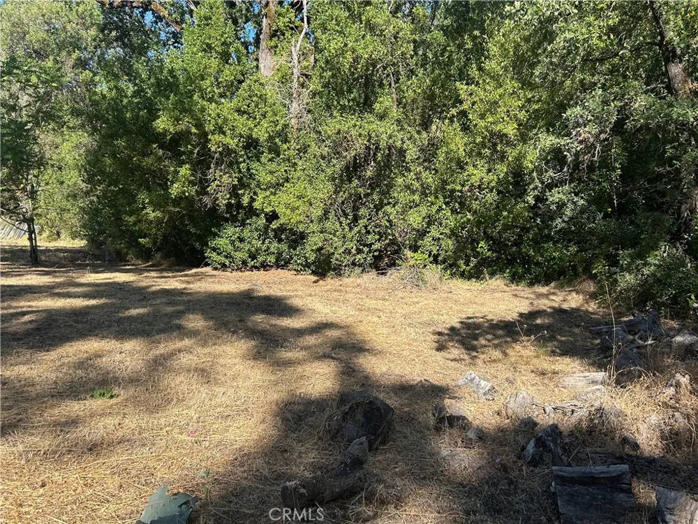 15394 Mckell Middletown, CA 95461