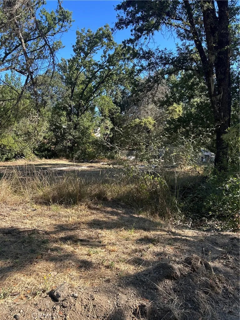 15394 Mckell Middletown, CA 95461
