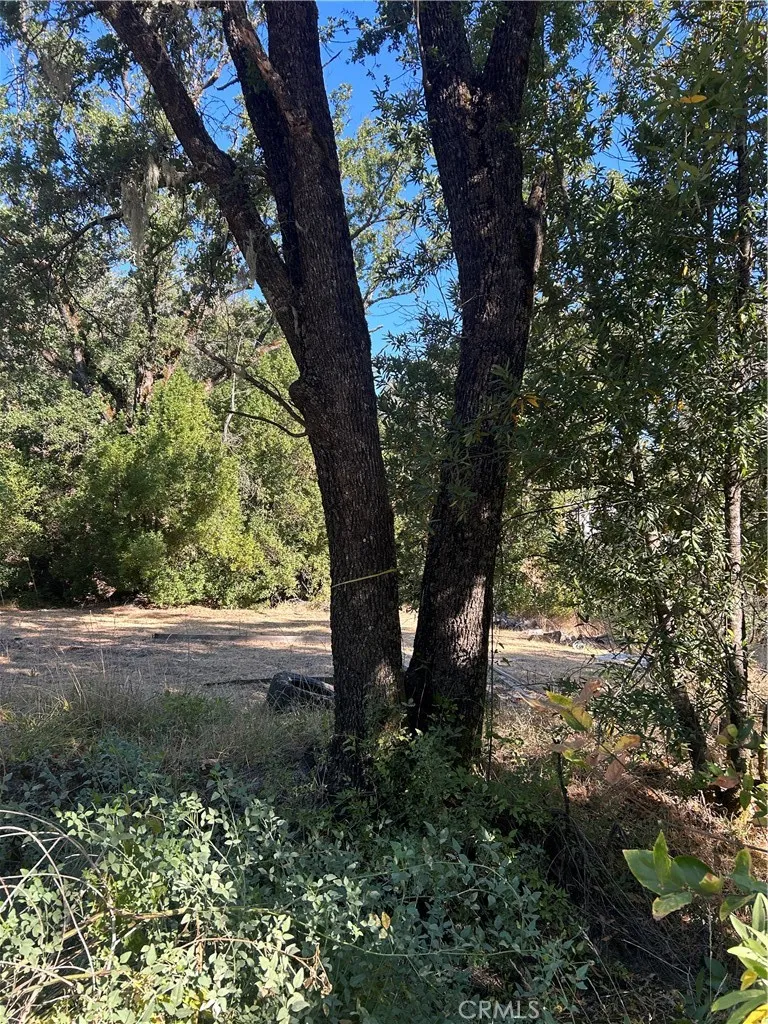 15394 Mckell Middletown, CA 95461
