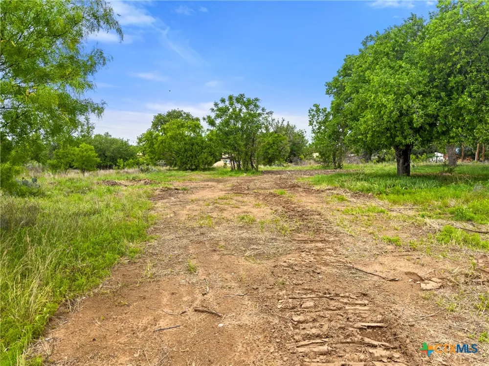 630 County Road 118B Burnet, TX 78611