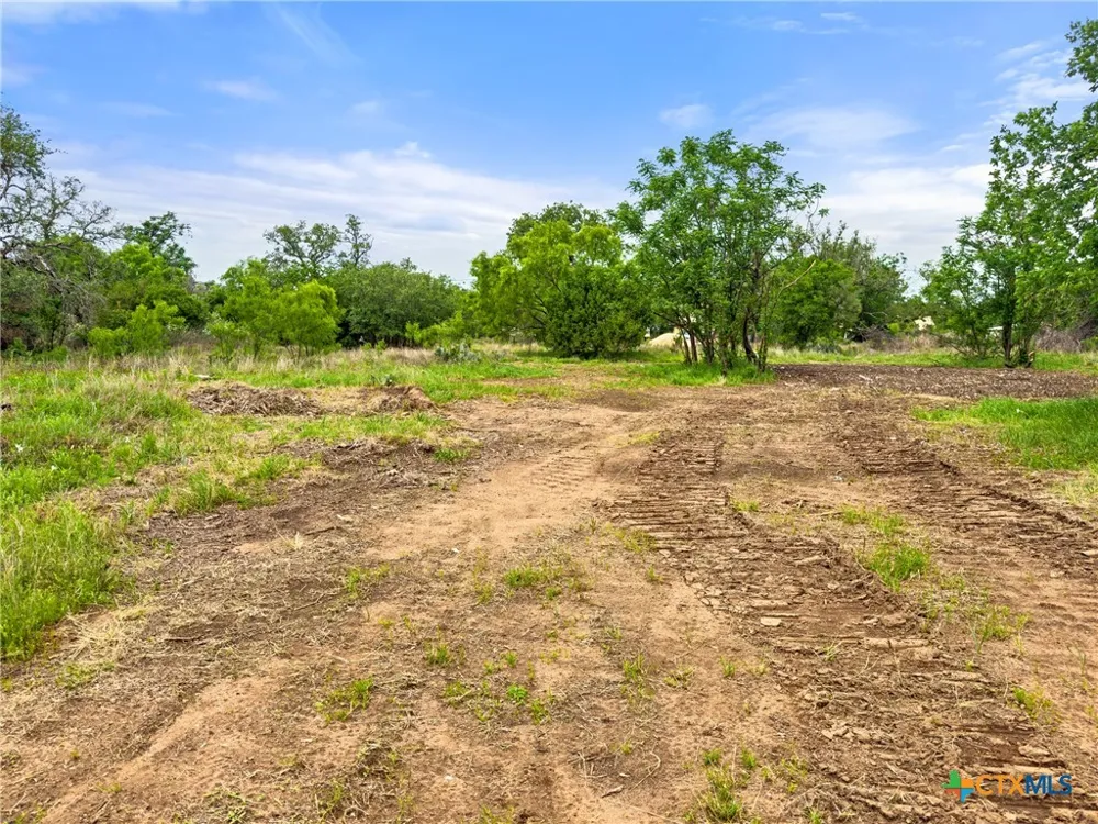 630 County Road 118B Burnet, TX 78611