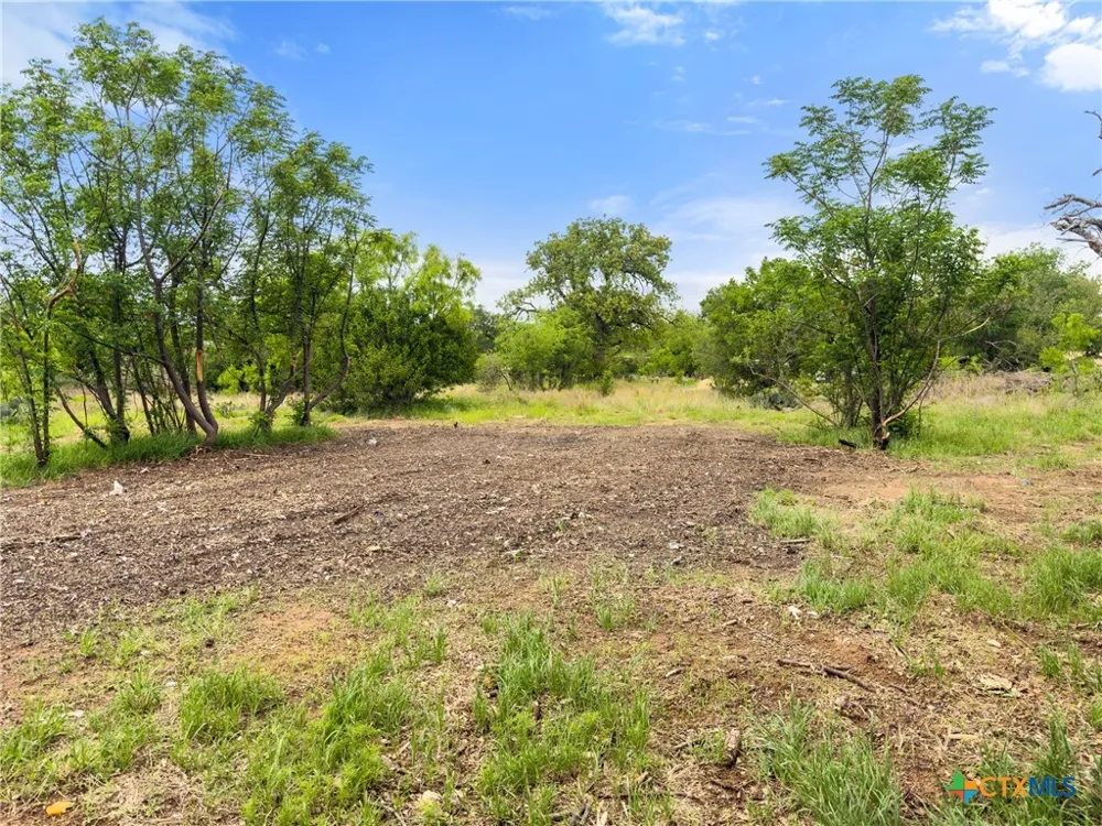 630 County Road 118B Burnet, TX 78611