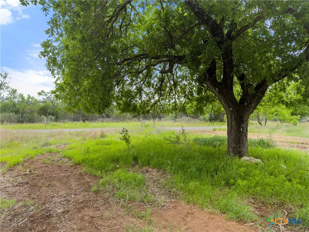 630 County Road 118B Burnet, TX 78611