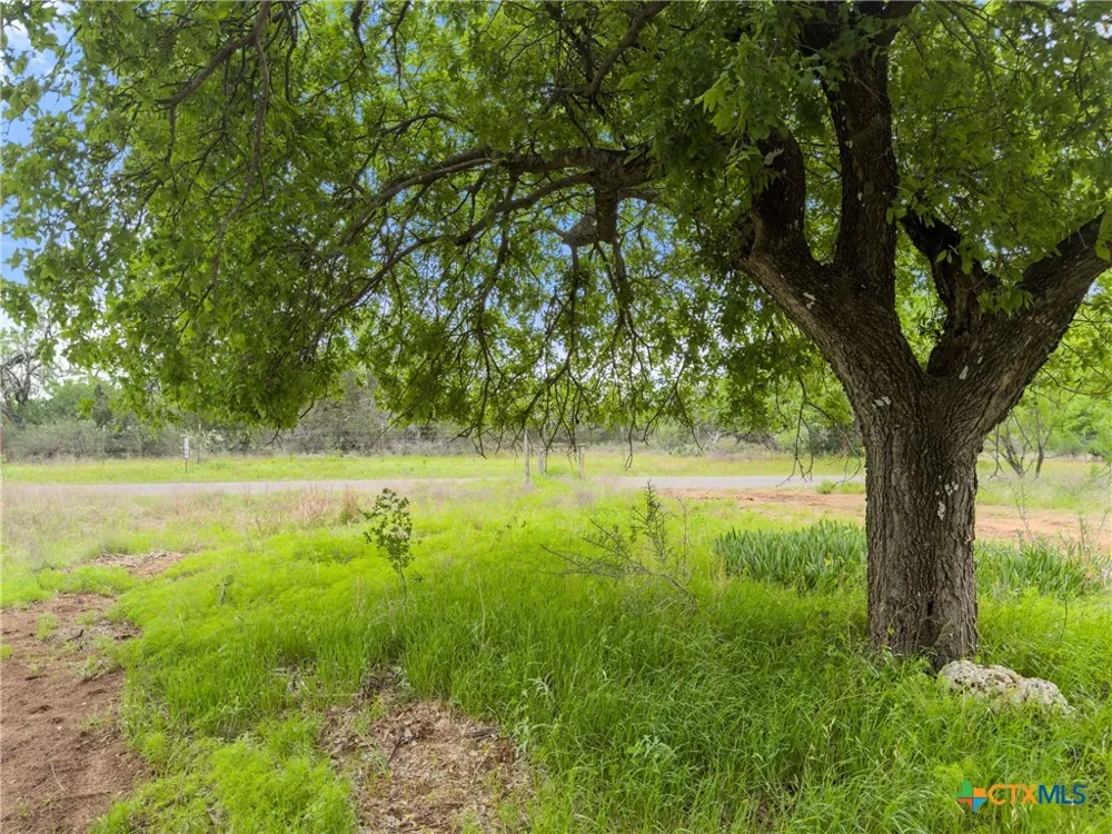 630 County Road 118B Burnet, TX 78611