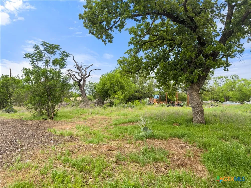 630 County Road 118B Burnet, TX 78611