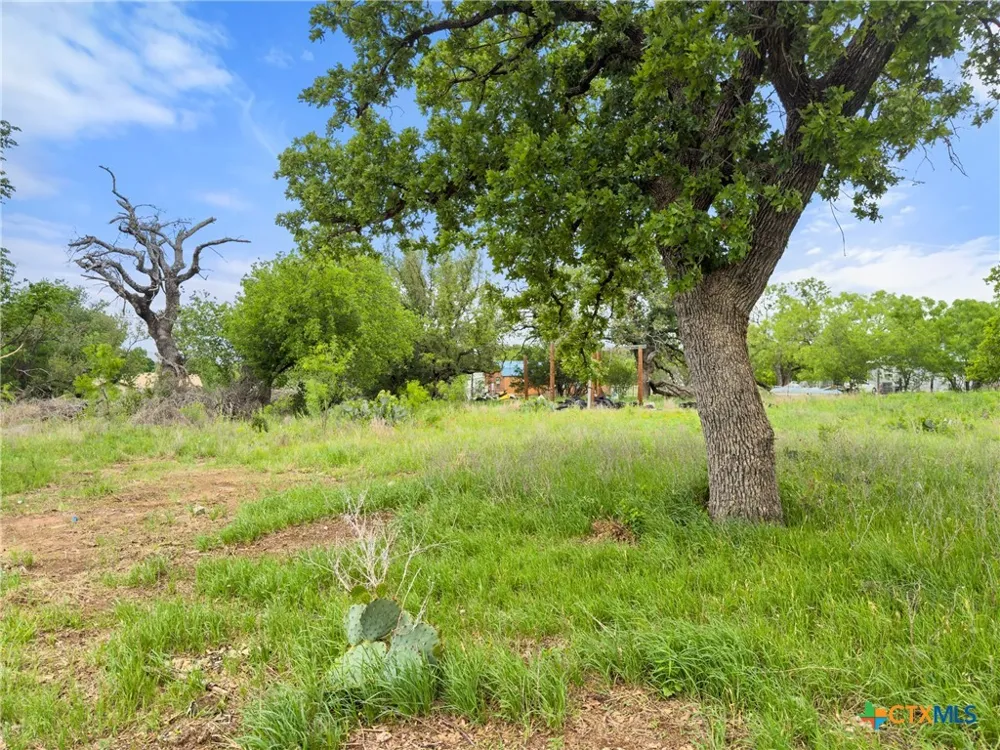 630 County Road 118B Burnet, TX 78611