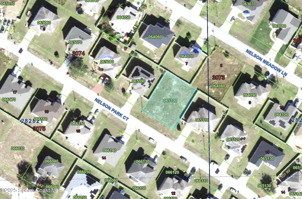 1257 Nelson Park Court Poinciana, FL 34759