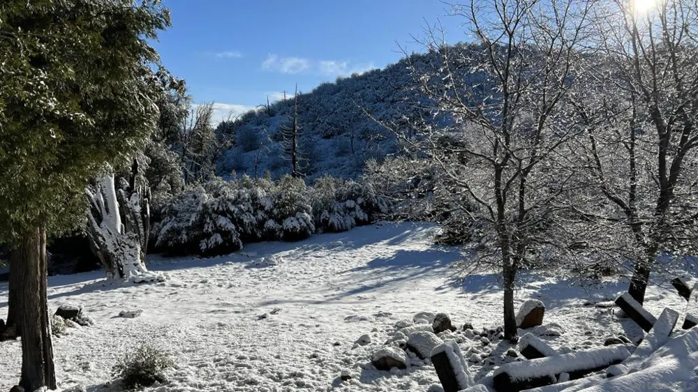17009 Iron Springs Rd Julian, CA 92036