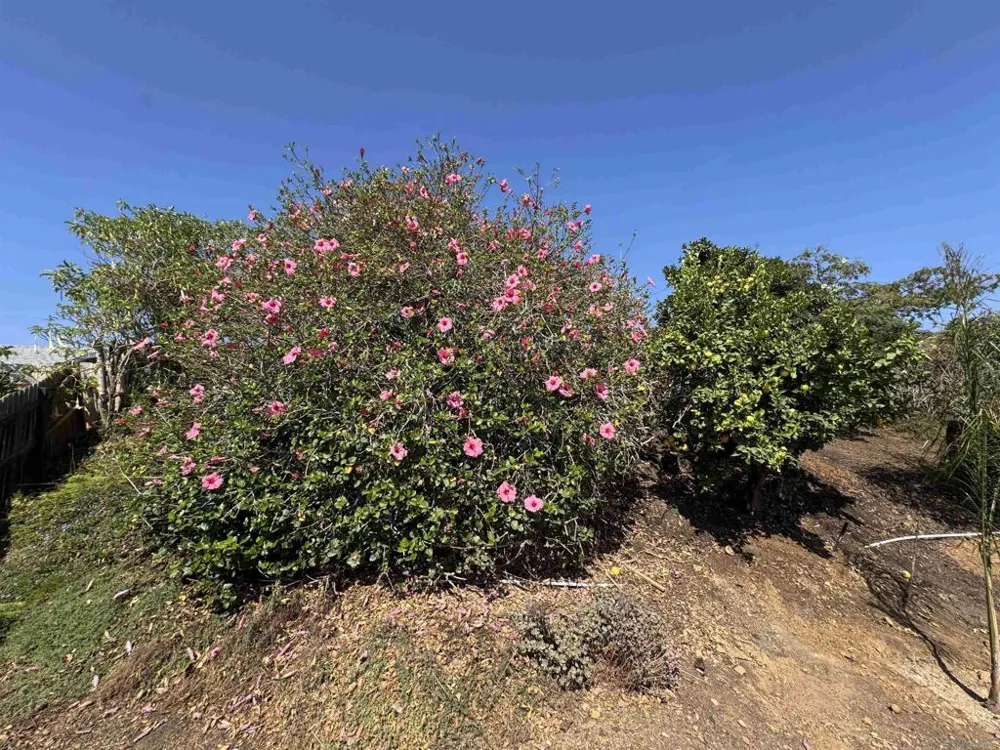3527 Acworth Ave San Diego, CA 92111