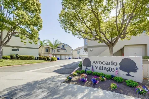 3637 Avocado Village Ct #99