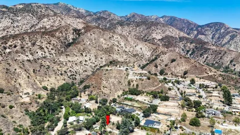 437 Devonwood