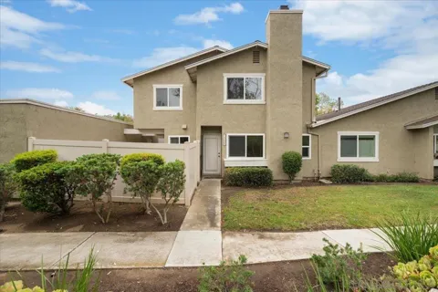 13669 Sycamore Tree