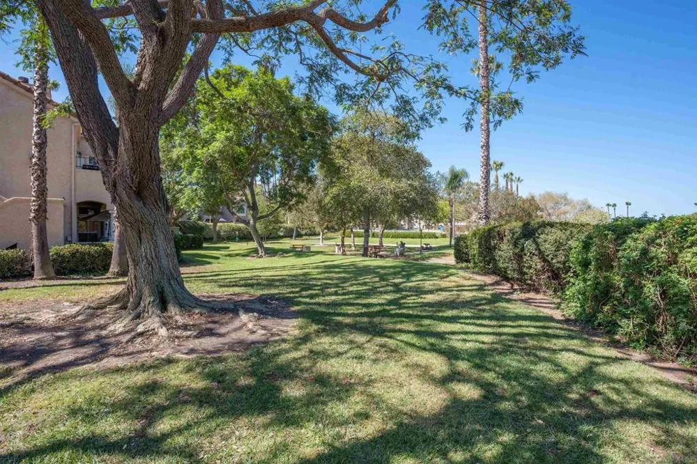 11340 Portobelo #3 San Diego, CA 92124