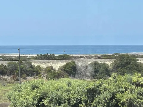 13024 Caminito Del Rocio
