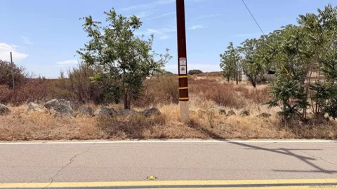Potrero Valley Rd