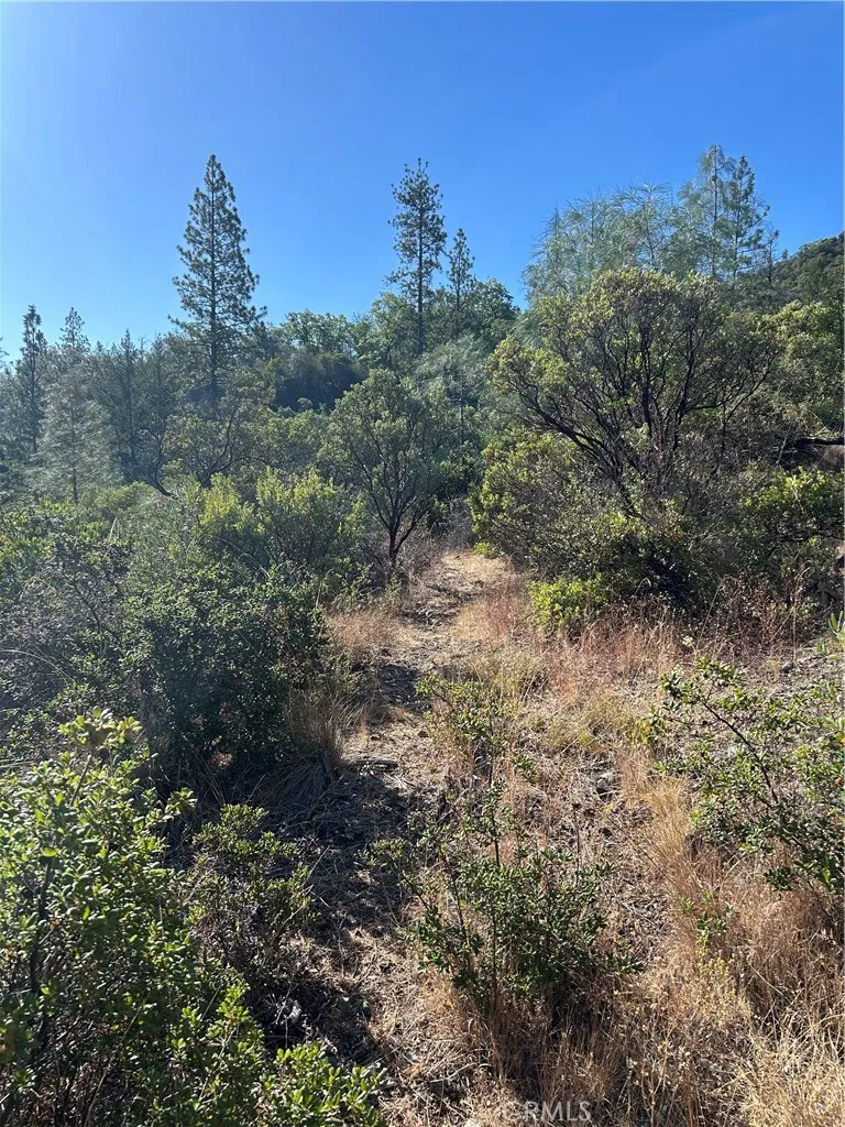 15570 Mckell Middletown, CA 95461