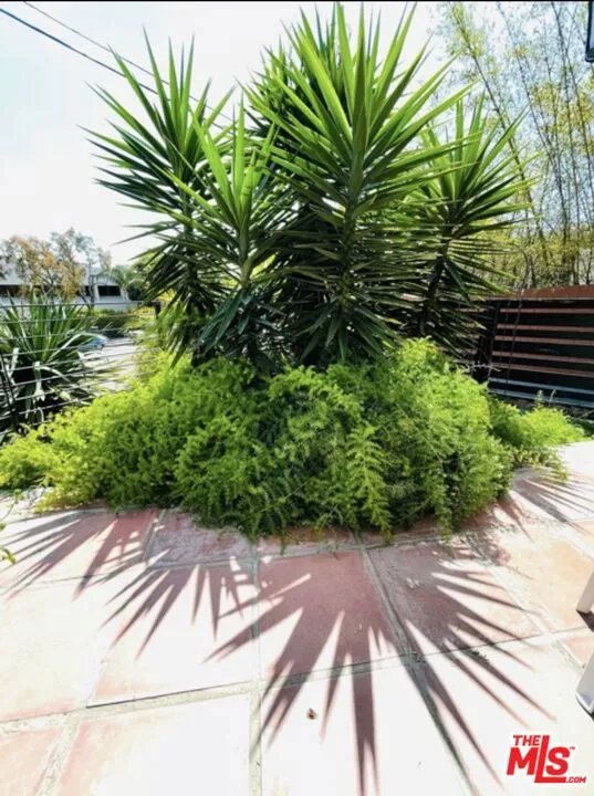 119 Paloma Avenue #D Venice, CA 90291