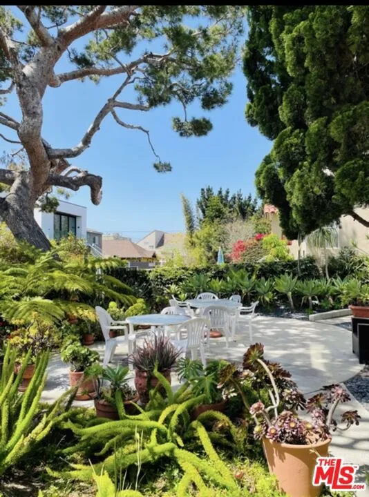 119 Paloma Avenue #D Venice, CA 90291