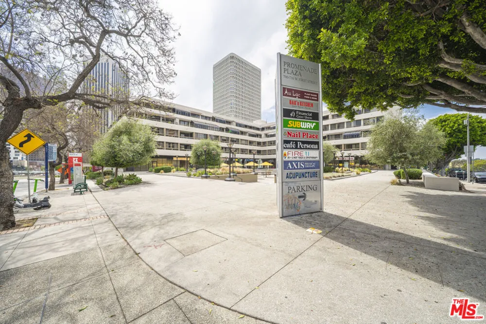 121 S Hope Street #517 Los Angeles, CA 90012