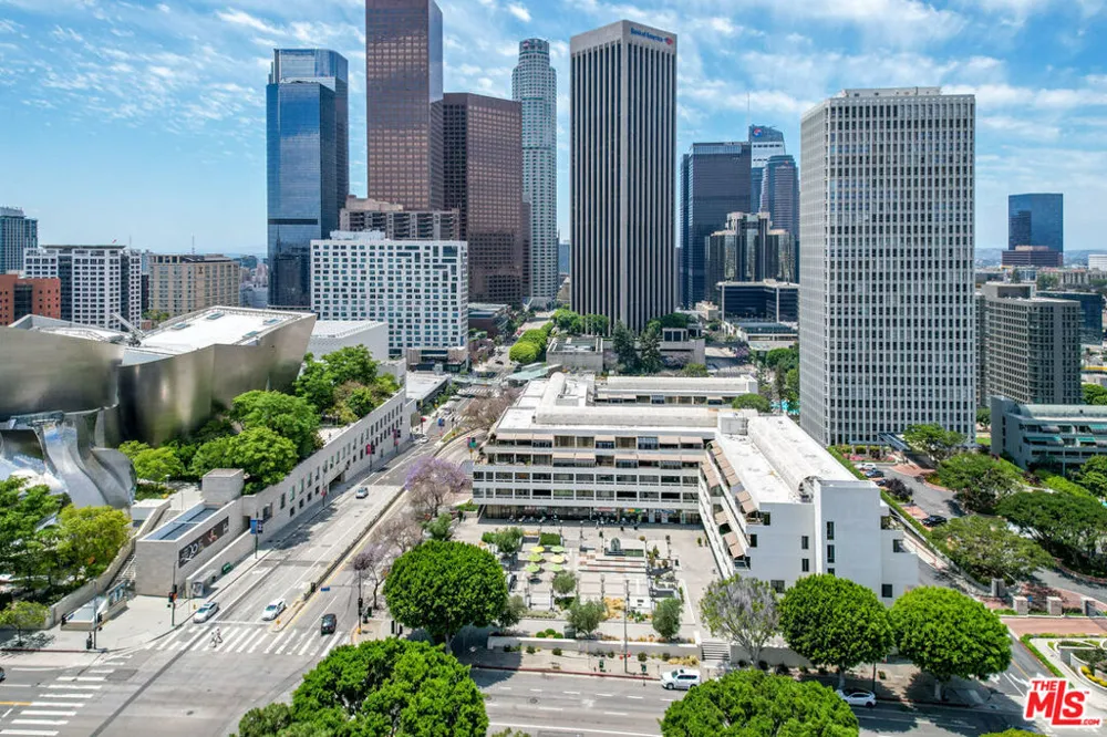 121 S Hope Street #517 Los Angeles, CA 90012